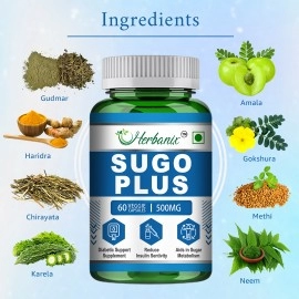 Sugo Plus Suger free - 60 Capsules